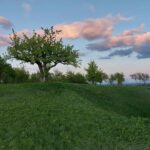 Kurs Języka Japońskiego japoński kurs