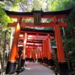 Kurs Języka Japońskiego kurs języka japońskiego dla dzieci i młodzieży kraków