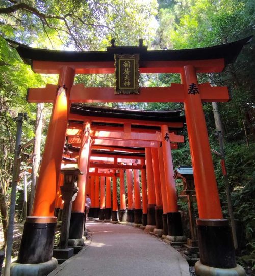 Kursy kurs języka japońskiego dla dzieci i młodzieży kraków